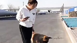 DOG SAVE LIFE OF PIT
