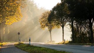 Nature Beautiful short video 720p HD - Aswanth Mohan.