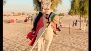 Camel ride | Eagle on hand | Dubai Desert Safari | Khamosh Raheel