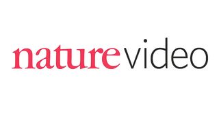 RNA interference RNAi by Nature Video - nature video.