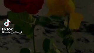 islamic video