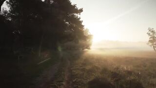 Background Nature Video No Sound, No Music Free Stock Footage - G Korb.
