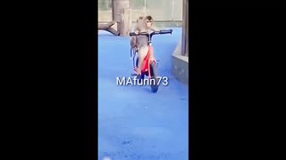 Monkey drive cycle