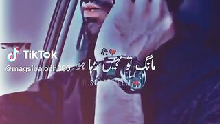 TikTok Videos