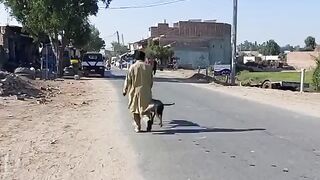 Khoji dog ka Sach ya Jhooth