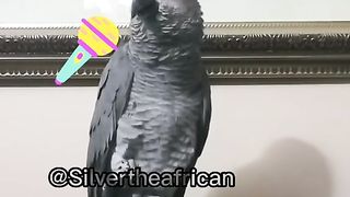 Best of the funny video for you || Must watch.