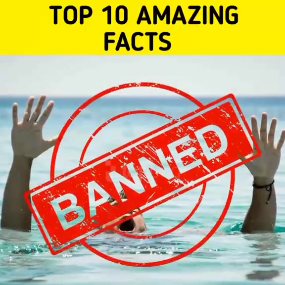 Top_10_amazing_facts_in the world by Rafaqatsultan on Febspot