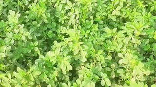 Amazing beautifull seen