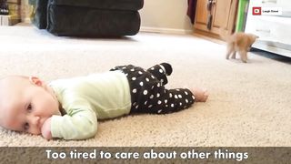 Baby and Cat Fun and Cute - Funny Baby Video #P17fun