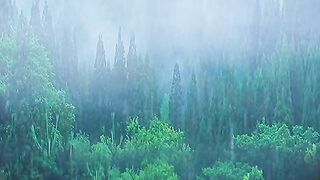 THUNDER and RAIN Sounds for Sleeping