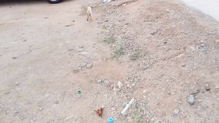 I gave roasted chicken to stray cat