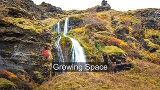 Transform Your Space with Growth Meditation Music: A Guided Journey to Inner Peace and Tranquility