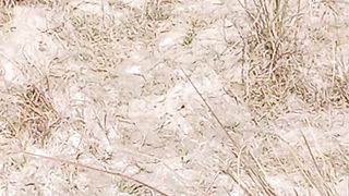 Target  shooting