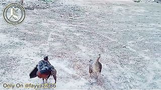 Best video for you || Must watch and dont forget to follow for more.