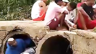 Cat and dog funny video 2023