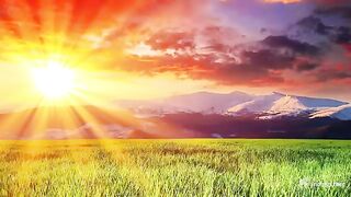 5 Minute Meditation Music - with Earth Resonance Frequency for Deeper Relaxation