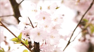 deep sleep music 5 min,deep sleep relaxing music for sleeping,5 minute relaxation music for sleep.mkv