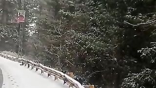 Snow Everywhere