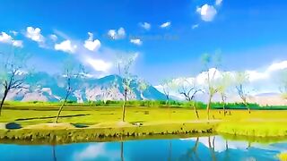 Beautifully places