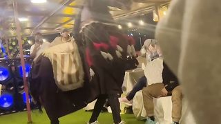 Funny horse moment