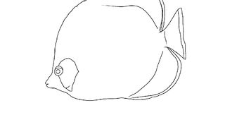Learn how to draw a fish in Mobile