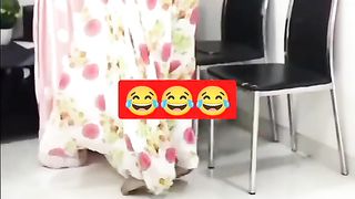 Funny video #shortvideos #varilvideo #memes.