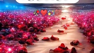 Islamic Whatsapp status| Friday Whatsapp status| new Whatsapp status 2023