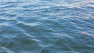 Beautiful uae abra amazing in dubai is very beautiful place