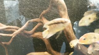 Aquarium