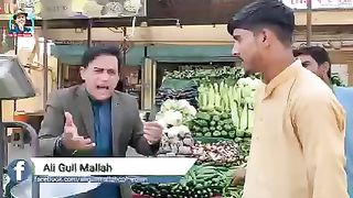 Dollor