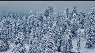 Beautiful nature amazing snowfalling 4k video