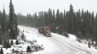 JF 555 with Shane Sadegur in Hinton AB WearBlackArmy2023