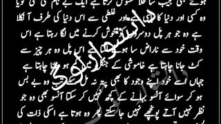 danishwar log