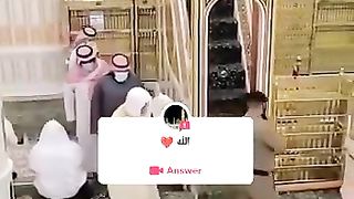 Mashallah