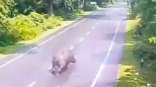 Carful drive