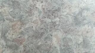 Ну очень умный кот.)))