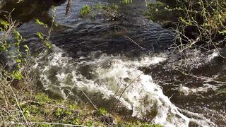 Spring, very beautiful stream. Весна, очень красивый ручей.