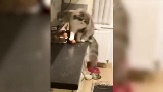 Без Вопросов СМОТРИТЕ И УЛЫБАЙТЕСЬ