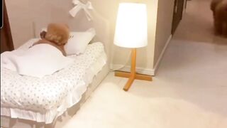 Прости что пришёл  позна