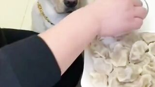 Бро я тоже так хочу