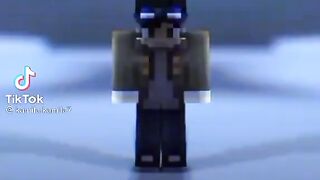 Minecraft 11