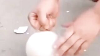 Родился