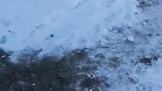 Канадский волк, вырубил хозяина | Сanadian wolf, knocked out the owner