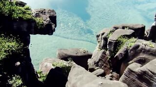 Дикая природа 2