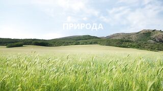 Природа - Весна