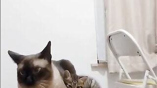 Мама и его малыш