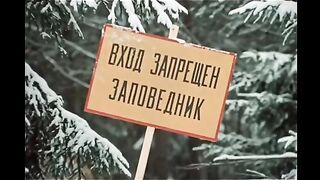 Приколы 11