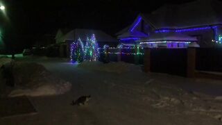 Новогодняя ночь