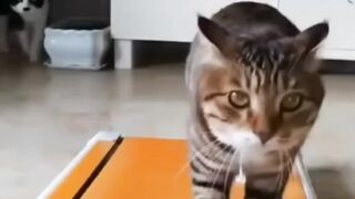 Занятия спортом.)