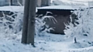 Мартовский снег.